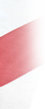 Immigration in America, USA flag